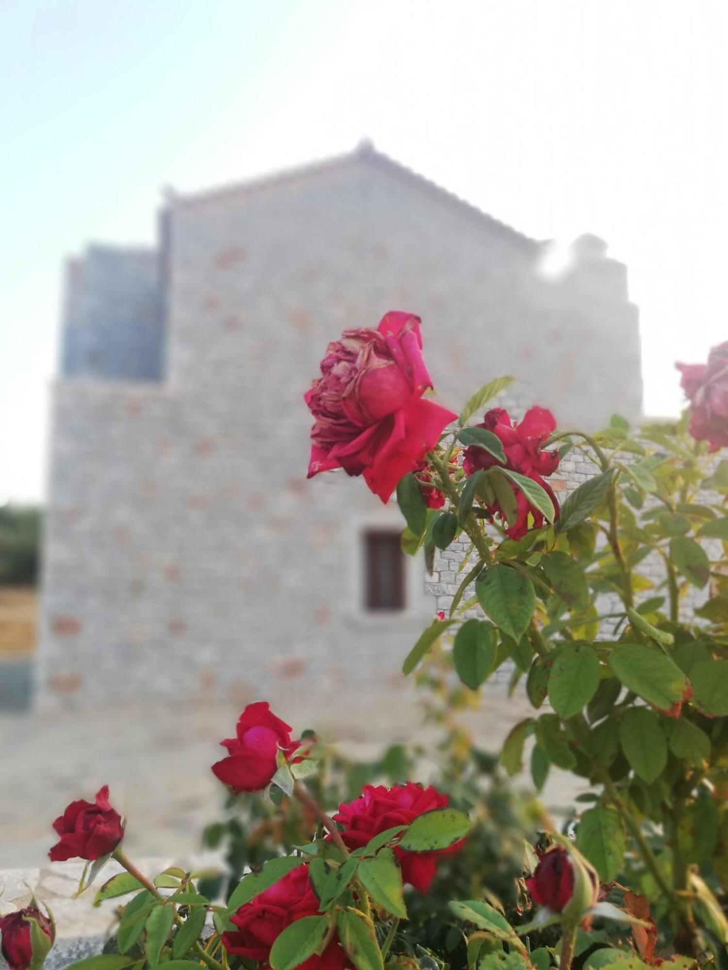 Mezapos Villa Antonis Mína Esterno foto